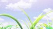 [Anime4up rest] MGDXF EP 04 HD V2